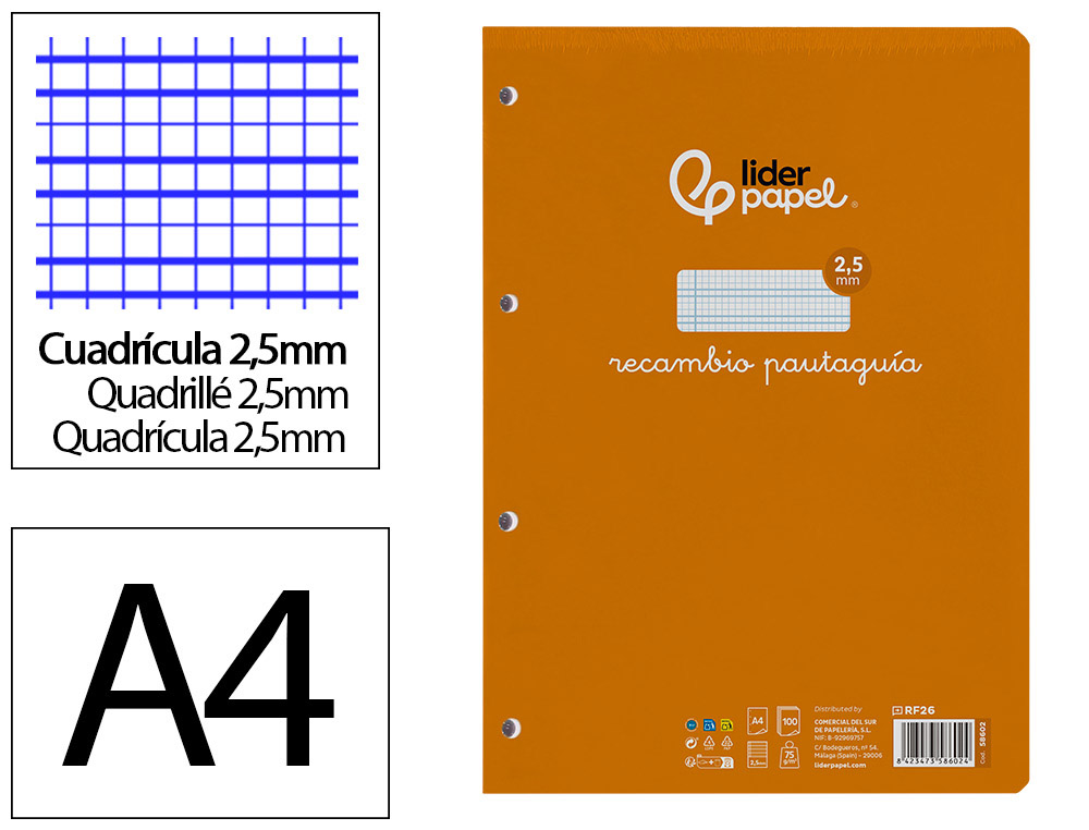 RECAMBIO LIDERPAPEL A4 PAUTAGUIA 100 HOJAS 75 G/M2 CUADRICULADO PAUTADO 2,5 MM CON MARGEN 4 TALADROS